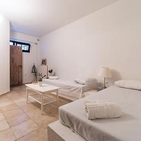 Sani Forest Experience Tatil Evi