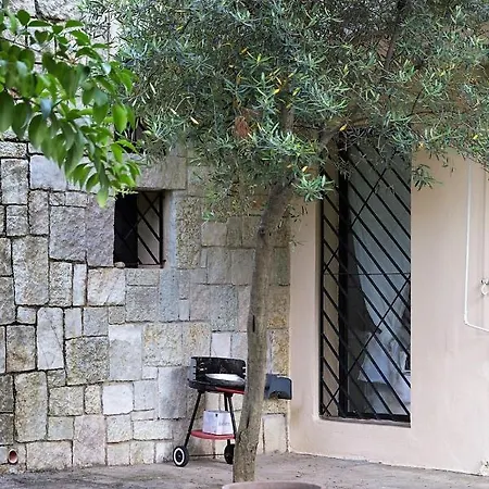 Sani Forest Experience * Sani (Chalkidiki)